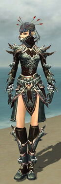 Necromancer Asuran Armor F gray front