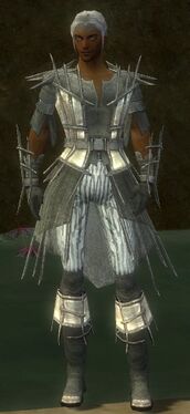 Elementalist Primeval Armor M gray front