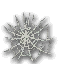 Maguuma Spider Web.png