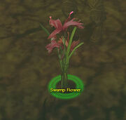 Swampflower