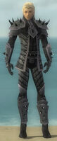 Elementalist Obsidian Armor M gray front.jpg