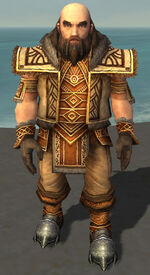 Ogden Stonehealer Armor Deldrimor Front