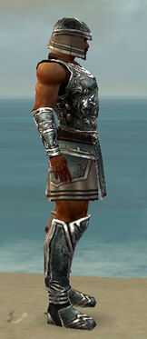 Warrior Istani Armor M gray side