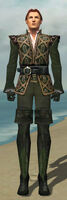 Mesmer Courtly Armor M gray front.jpg