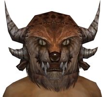 Charr Hat gray front