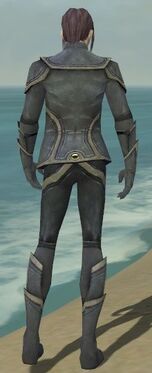 Elementalist Ascalon Armor M gray back