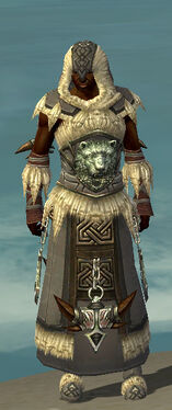 Dervish Norn Armor M gray front