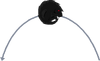 GGXX Dog 4D