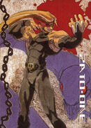 Hybrid Card Collection No. 025.