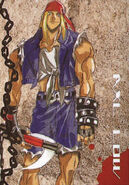 Hybrid Card Collection No. 027.