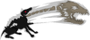 GGXX Dog 5D