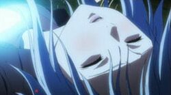 Guilty Crown: Lost Christmas Special Edition, Guilty Crown Wiki