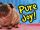 The Joy of Guinea Pig Bonding Skinny Pig Monty at The Los Angeles Guinea Pig Rescue