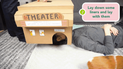 3 large.gif