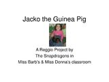 Jacko the Guinea Pig - PowerPoint PPT Presentation