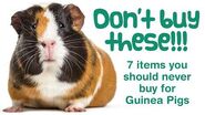 Things You SHOULDN'T BUY Your GUINEA PIGS DANGEROUS UNSAFE & BAD Items for Piggies PLEASE WATCH!