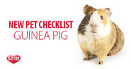 Blog-post-link guinea-pig-pet-checklist