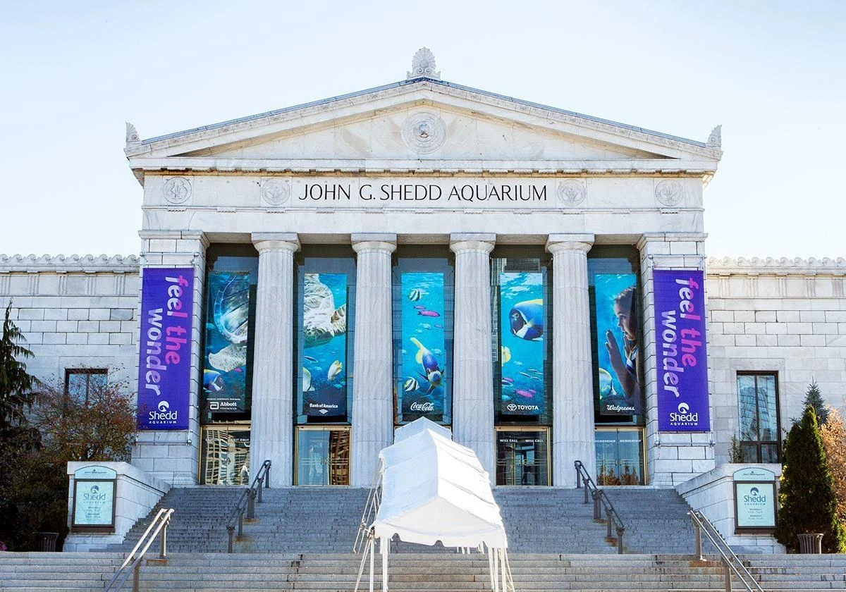 Bakersfield Aquarium Gumball Fanon Randomness Wiki Fandom