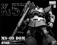 Limited edition MG 1/100 MS-09 Dom [MS Igloo 2 Image Color Ver.] (2009): box art