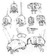 NRX-044 Prototype Asshimar TR-3 [Kehaar] | The Gundam Wiki | Fandom