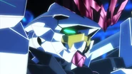 Head close-up