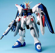 1/60 Freedom Gundam