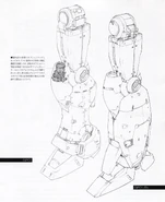 Zephyranthes legs details and comparison with the leg of the Full Burnern.jpg (1.16 MB) Leg details (left) and comparison with the Full Burnern's leg (right)