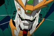 Head close-up (Ep 44)