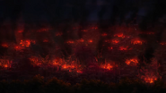 Whole courtry burned