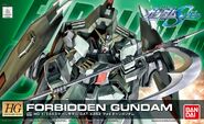 HG 1/144 GAT-X252 Forbidden Gundam box art