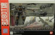 Robot Damashii "XM-X2ex Crossbone Gundam X-2 Custom" (2009): package front view.