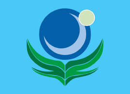 OMNI Flag