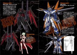 Mobile Suit Gundam SEED Destiny Astray B | The Gundam Wiki
