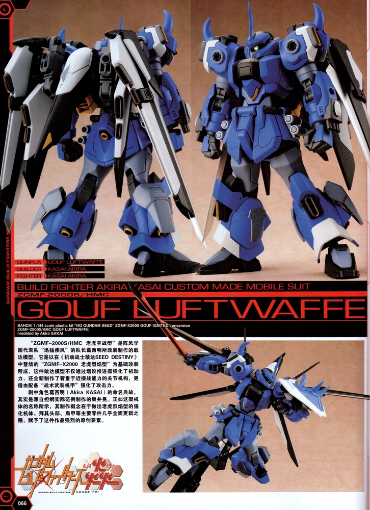 ZGMF-2000S/HMC GOUF Luftwaffe | The Gundam Wiki | Fandom