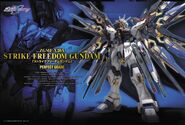 PG Strike Freedom box art