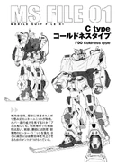 Information sheet (F90FF Vol 8, Pg 068)