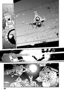 In Cucuruz Doan's Island