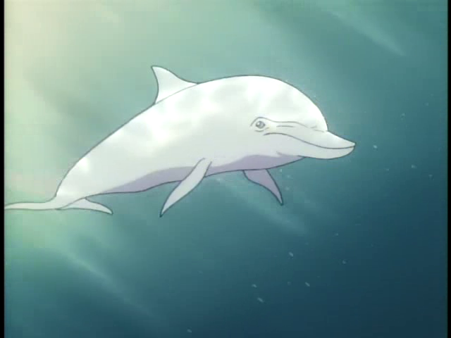BKLSEL Dolphin Car Sticker Anime Body 3D Waterproof Car Wrap Decoration  13cm : Amazon.de: Automotive