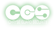 Alternate logo