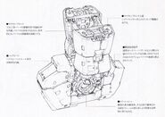 Abdomen and waist details