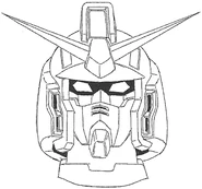 Head