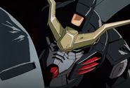 Head close-up (2)