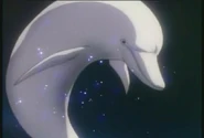 Whitedolphin.jpg (33 KB)