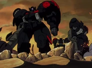 In the aftermath of Operation Nova