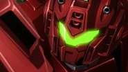 Head close-up