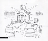 Zephyranthes upper body.jpg (1.01 MB) Head and upper body details