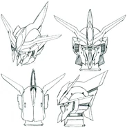 Head details