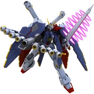 Crossbone Full Cloth