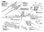 Tr-6 Inle transformation modes