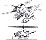 Side & Ventral Profile